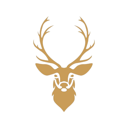 logo no bg